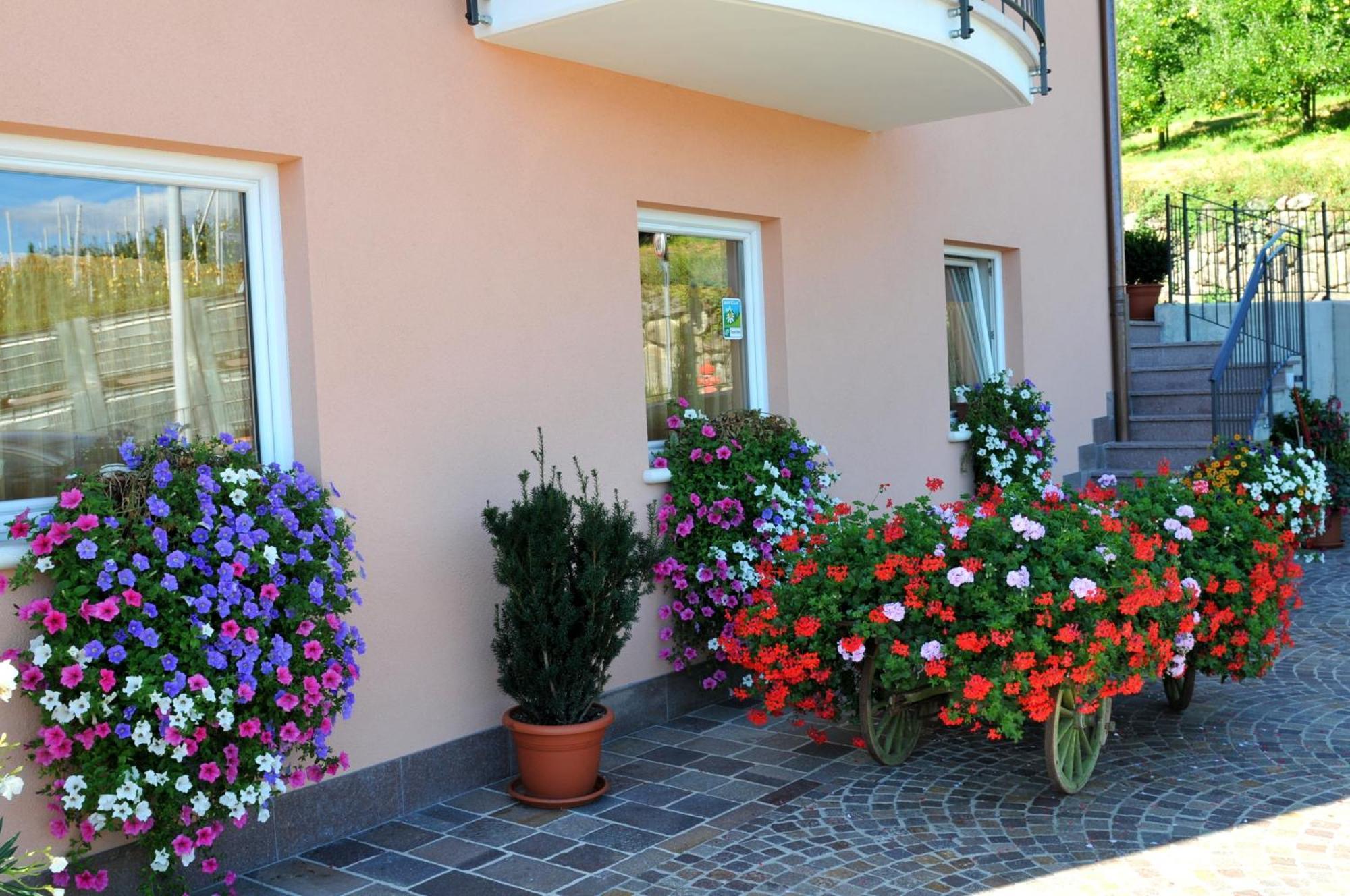 فيلا Agritur Le Pergolette Tassullo المظهر الخارجي الصورة