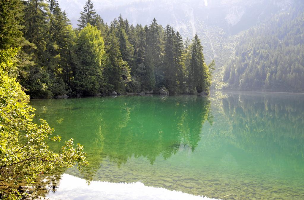 فيلا Agritur Le Pergolette Tassullo المظهر الخارجي الصورة